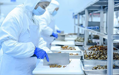 數(shù)控折彎機(jī)在中央廚房領(lǐng)域的應(yīng)用